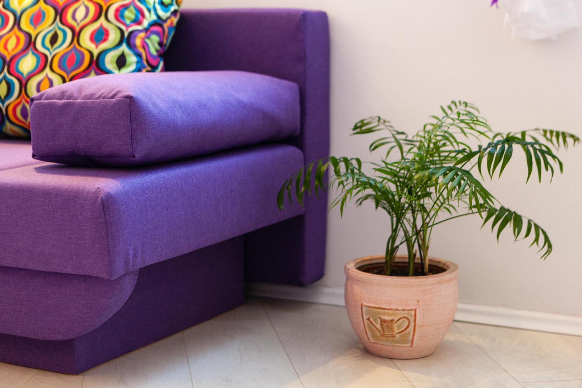 Split Old Town Apartment מראה חיצוני תמונה
